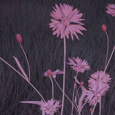 助赢软件app下载手机版截图