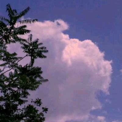 hth·华体育官方入口